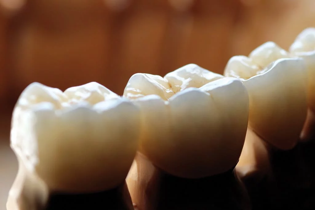 Image hover effect image